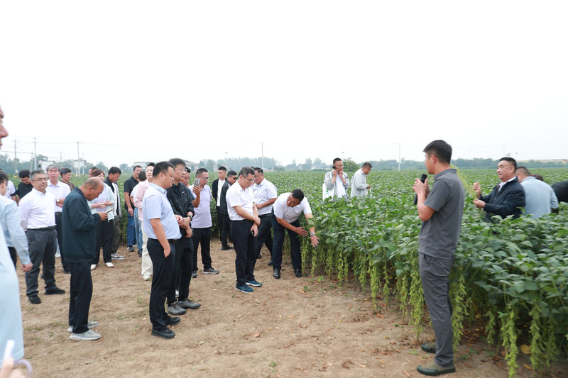农业生物育种重大专项标志性成果示范观摩会在太和举行(图1)