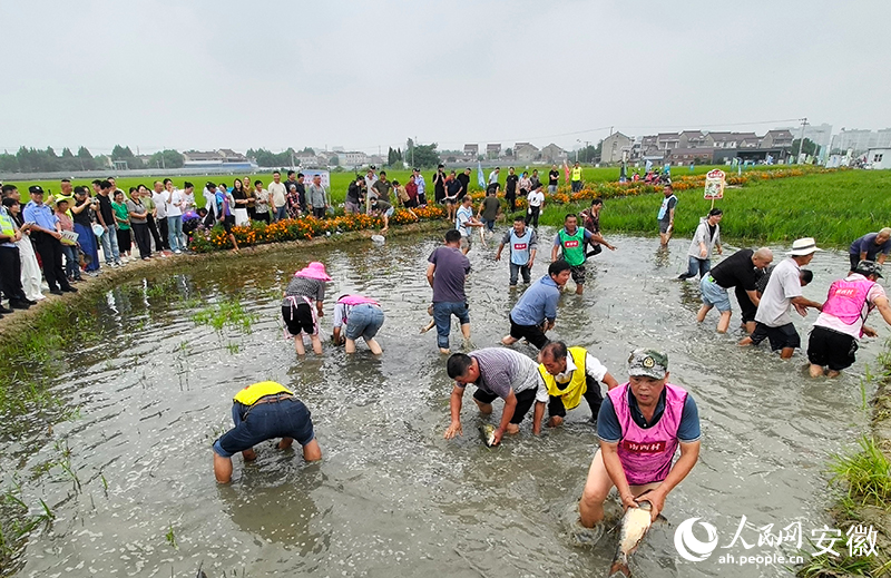 摸魚現場。人民網記者 汪瑞華攝