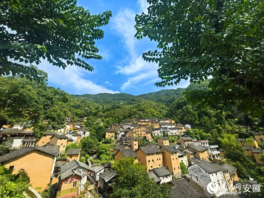 阳产土楼。人民网记者 汪瑞华摄