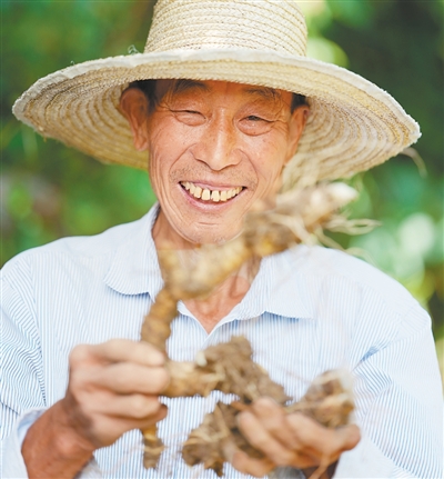 陈泽平是一名护林员，他在自家零散的地块上种黄精等中药材，收入有了更多保障。