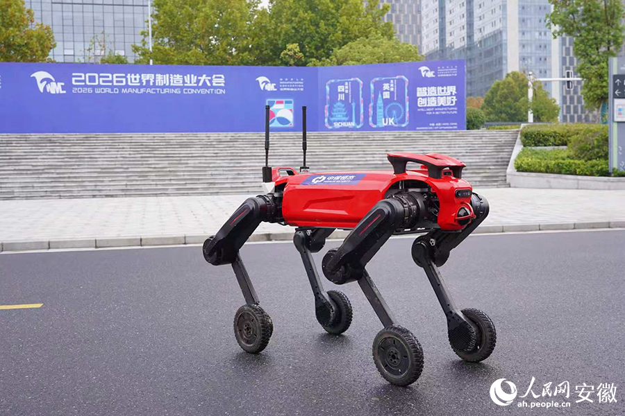 中保恆杰引入的機械狗。人民網記者 陳若天攝