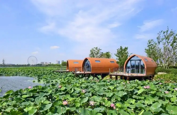 支持杜集現代農業示范園建設