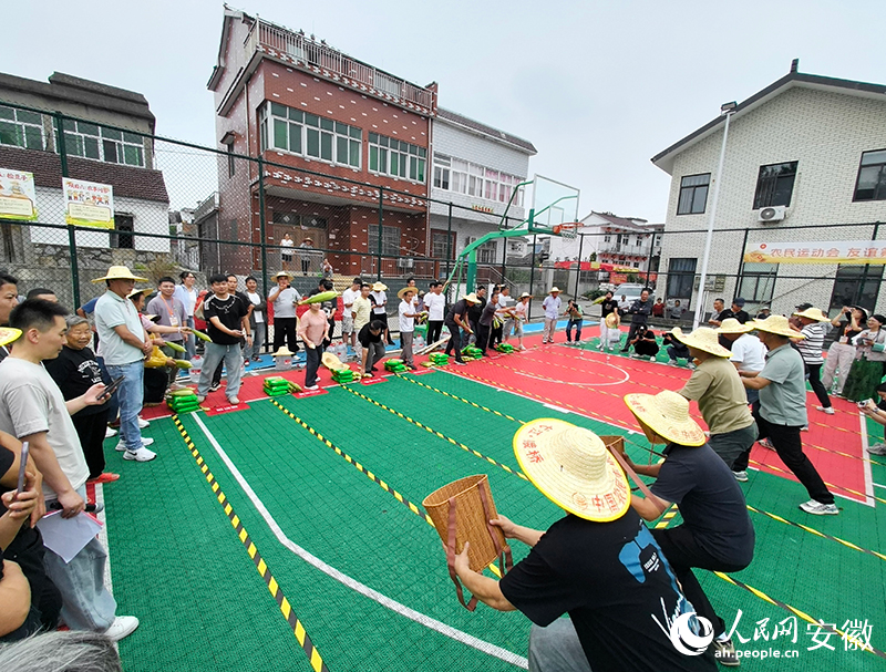 接玉米，比的是默契。人民網記者 汪瑞華攝