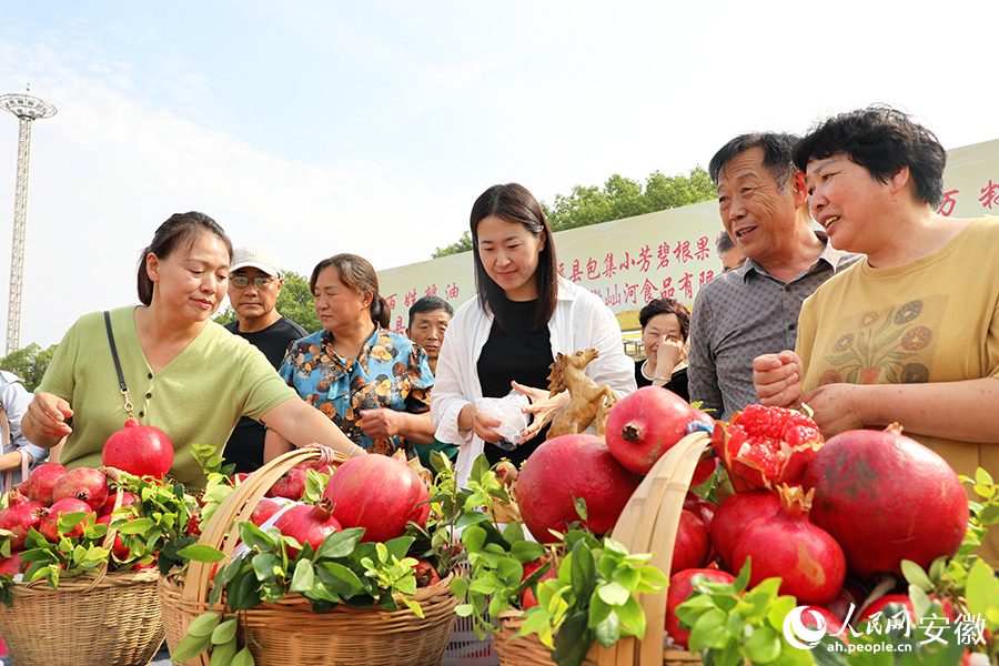 市民游客正在挑选石榴。人民网记者 郭昊摄