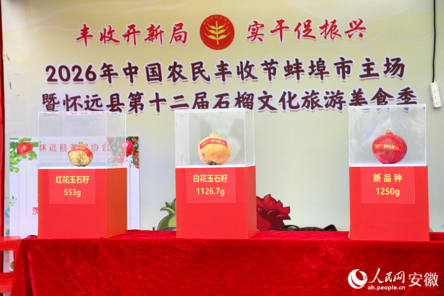 现场斩获佳绩的“石榴王”。人民网记者 郭昊摄