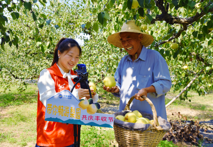 5G直播間帶你暢游梨園
