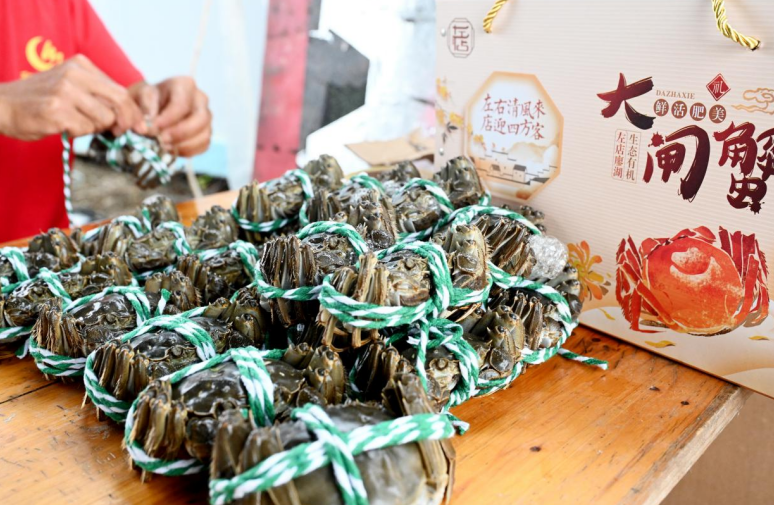 生态大闸蟹打包外销。杜刚 摄