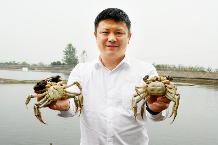 基地负责人曹茂林展示成品螃蟹。杜刚 摄