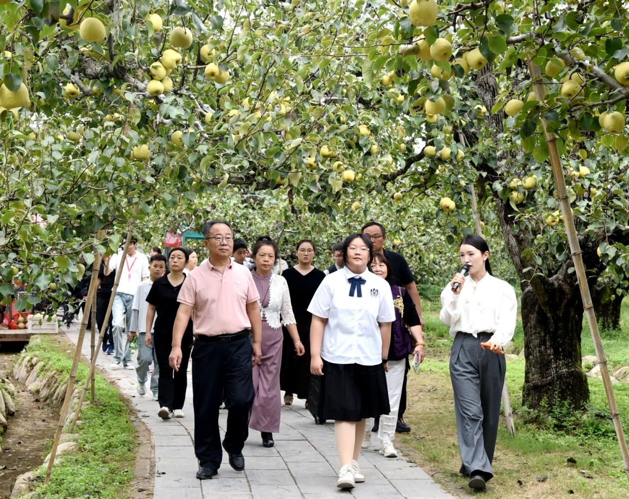 全省参赛选手和诗词爱好者在良梨镇梨树王景区采风，观赏“诗词长廊”。李艳龙摄