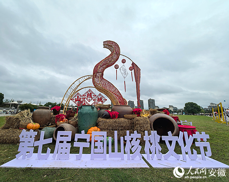 宁国山核桃文化节现场。人民网记者 汪瑞华摄