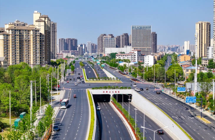 金寨南路快速化改造（望水路—深圳路）項目