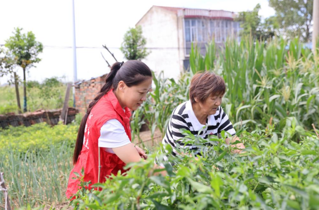 小郜陪我做農活嘮家常