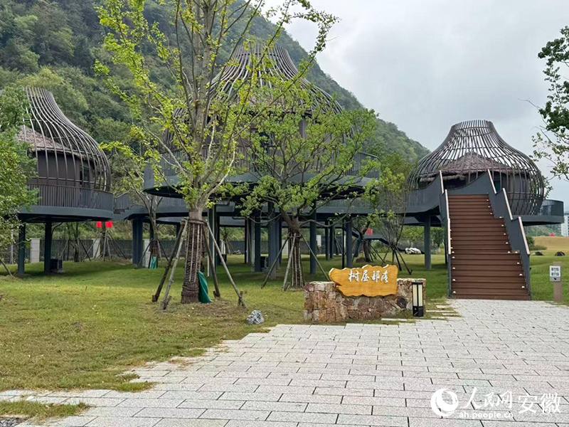 白鹭湾酒店树屋。人民网记者 胡雨松摄