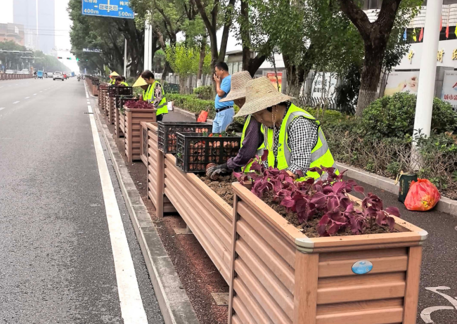 更植草花靚市容