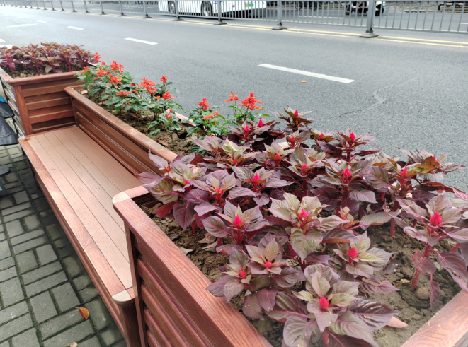更植草花靚市容