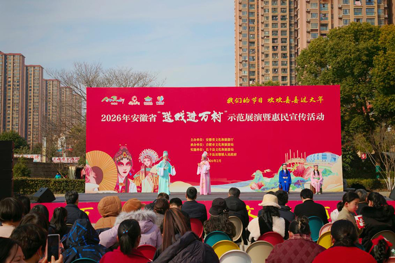 长丰县庐剧团演出现场。人民网记者 韩震震摄
