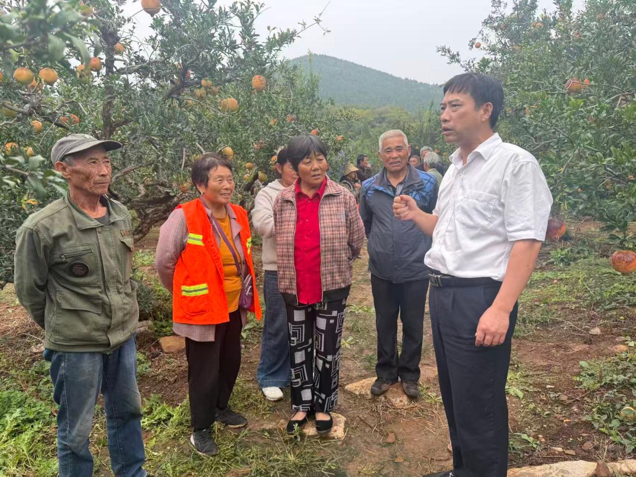 省园艺所专家为果农们讲授石榴种植管护相关知识。