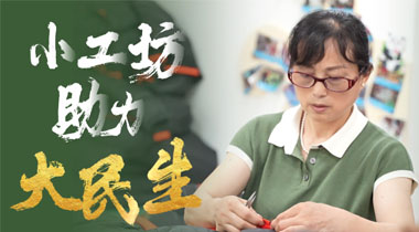 合肥市瑶海区：小工坊助力大民生