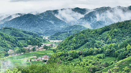 龙眠山云雾缭绕。人民网记者 郭昊摄