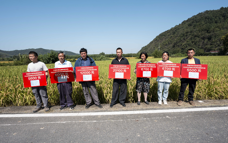 宁国市为规模种粮主体提供养老及相关保险补助