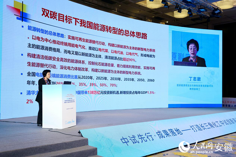 现场主旨报告环节。人民网记者 陶涛摄