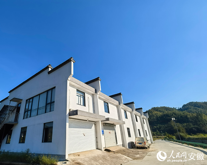 再过阵子，葛根厂里的机器声又将嗡嗡作响。人民网记者 汪瑞华摄.jpg