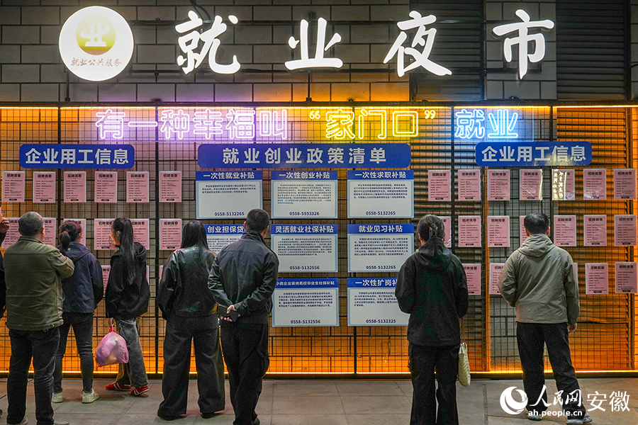 市民在亳州就业夜市前找岗位、问政策。人民网记者 苗子健摄 