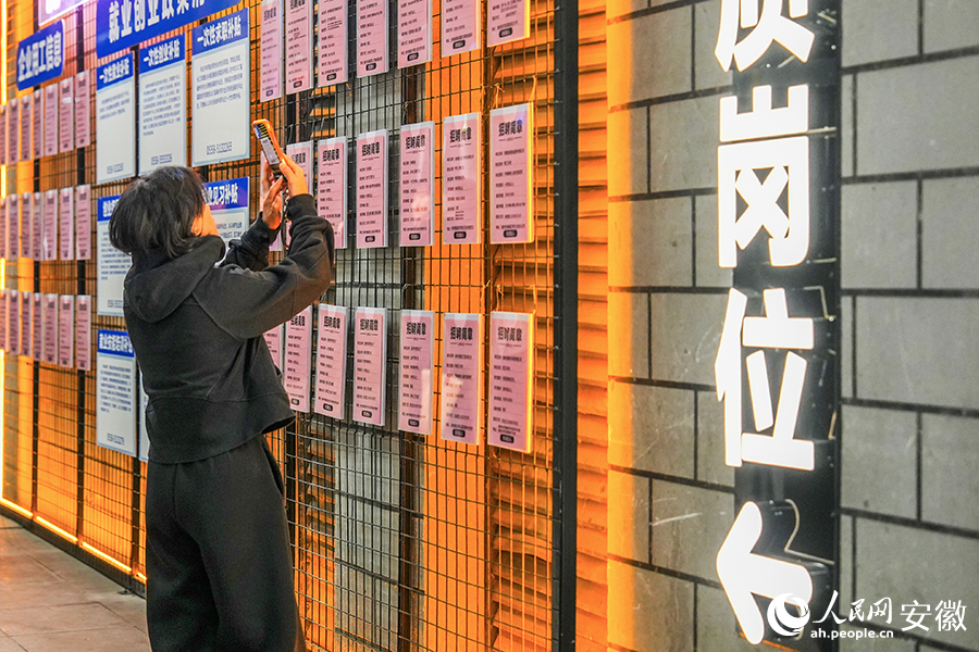 市民在亳州就业夜市前找岗位、问政策。人民网记者 苗子健摄 