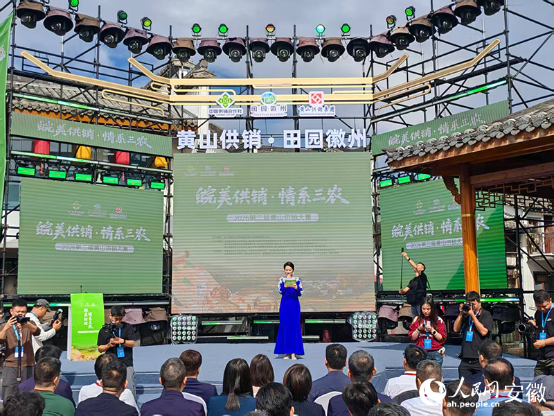 开幕仪式。人民网记者 丁纪摄