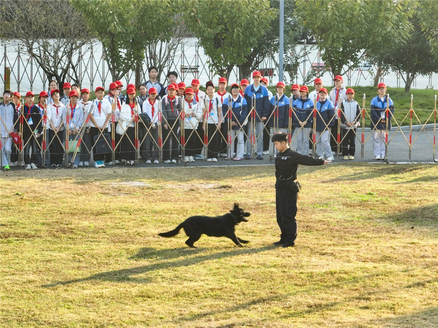 学生们观看警犬技能展示。