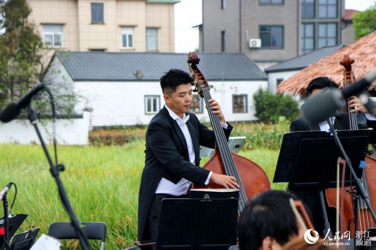 10月16日，由浙江交響樂團帶來的演奏會在稻田裡上演。人民網 葉賓得攝