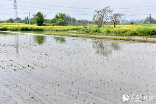 ���岥�õ�һ�������硣�����