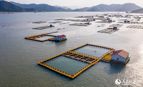 一方方橙黃色的養殖設施有序排列在蔚藍的海面上,成為斑斕海岸線一道亮麗的風景。人民網 章勇濤攝