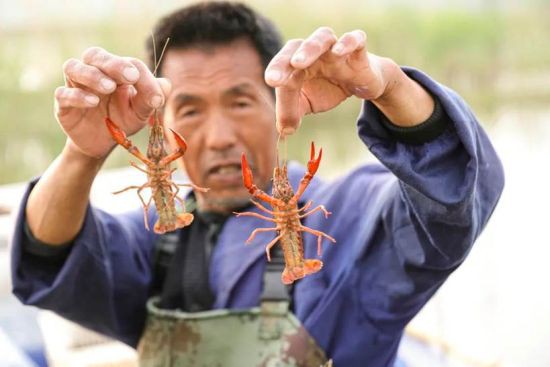 五河县：潮涌五水满目新 踔厉奋发启新程完美体育(图4)