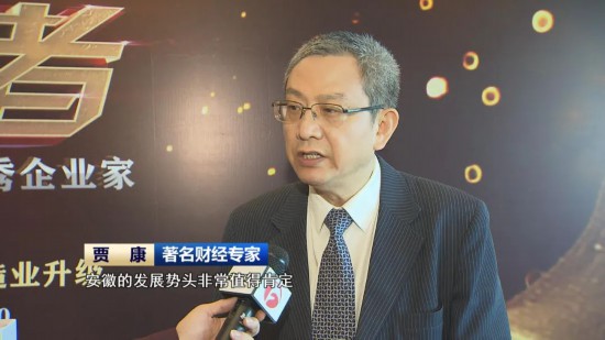 著名財經專家 賈康
