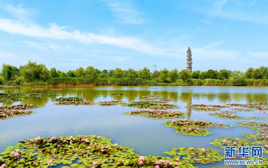 安徽肥東：環湖濕地景如畫