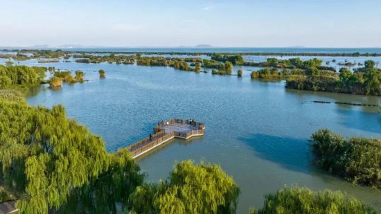 合肥巢湖湖濱國家濕地公園。