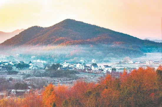 蕪湖市繁昌區：晨光中的美麗鄉村