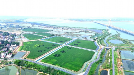 俯瞰蒋山村。宣城市委宣传部（市文明办）提供