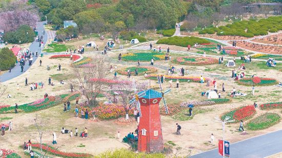 3月22日,合肥市植物园内郁金香竞相绽放,春意盎然,吸引众多游客前来踏青赏花。本报通讯员 赵明 摄