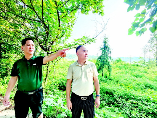   圖為湯永雲(右一)與村黨支部書記楊明武查看荒灘。  