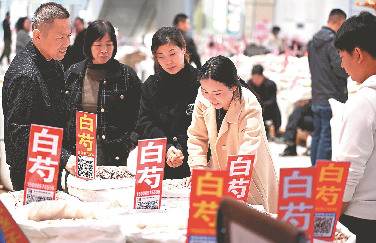 体验中医药文化